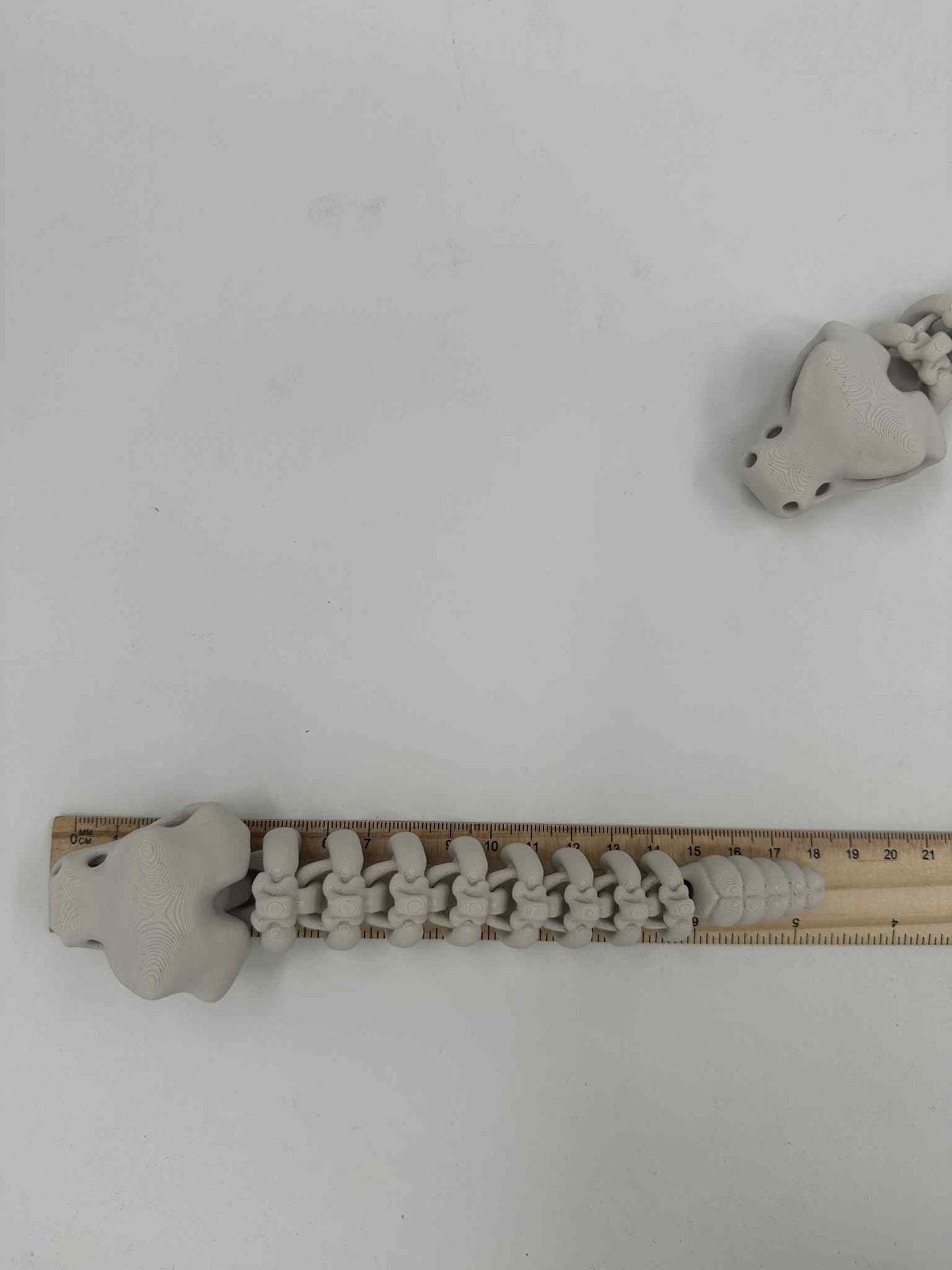 3D Printed Tiny Rattle Snake 18cms