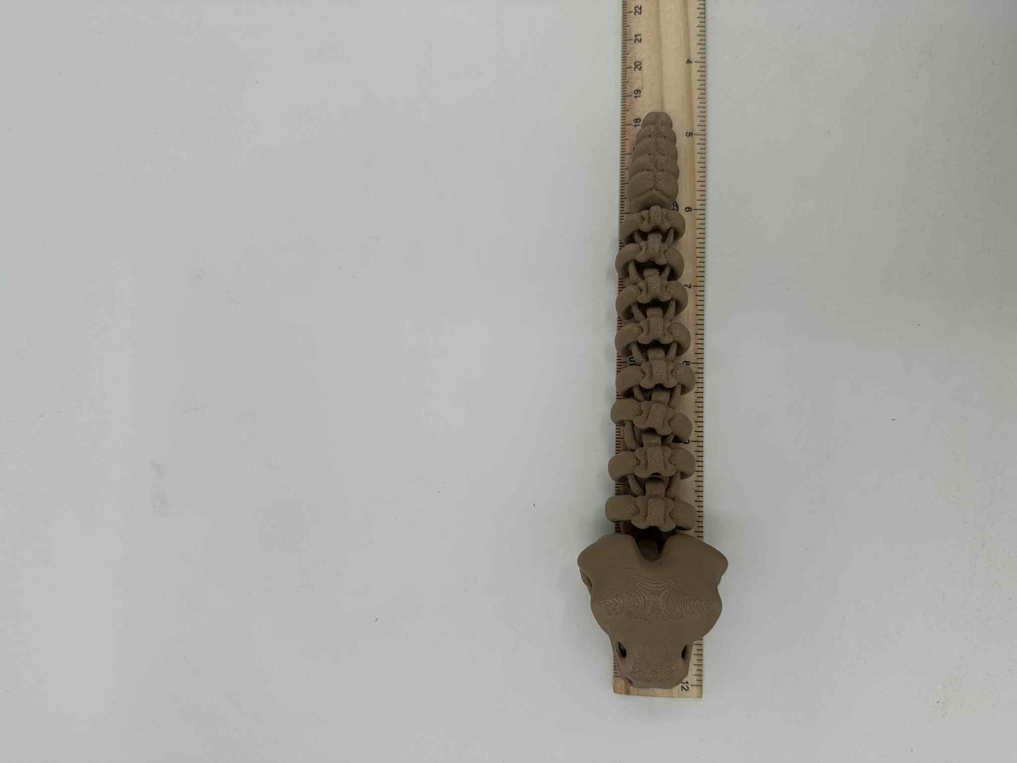 3D Printed Tiny Rattle Snake 18cms